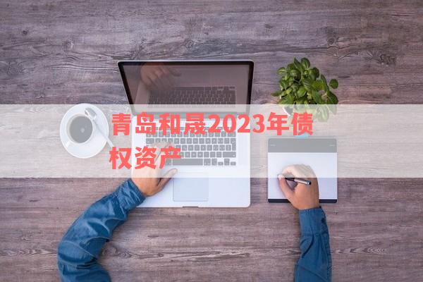 青岛和晟2023年债权资产