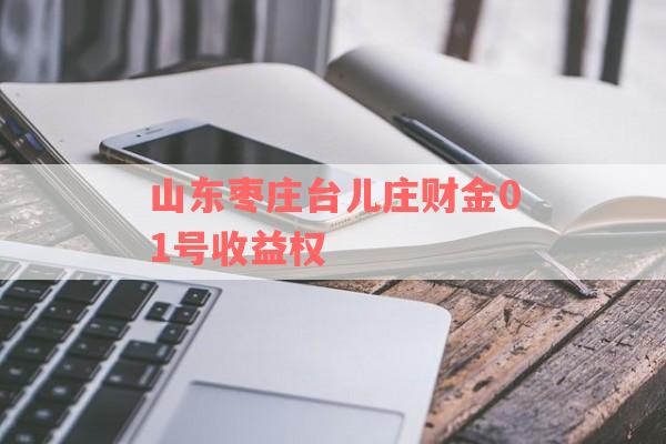 山东枣庄台儿庄财金01号收益权