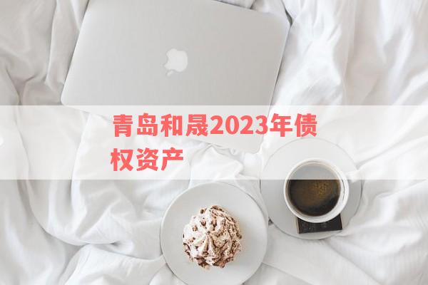 青岛和晟2023年债权资产