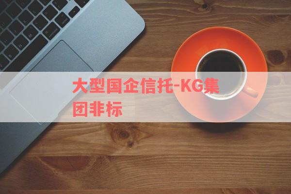 大型国企信托-KG集团非标