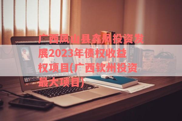 广西凤山县鑫凤投资发展2023年债权收益权项目(广西钦州投资最大项目)