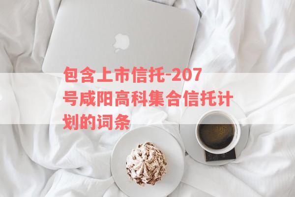 包含上市信托-207号咸阳高科集合信托计划的词条