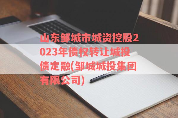 山东邹城市城资控股2023年债权转让城投债定融(邹城城投集团有限公司)