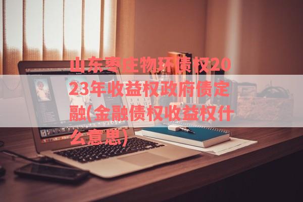 山东枣庄物环债权2023年收益权政府债定融(金融债权收益权什么意思)