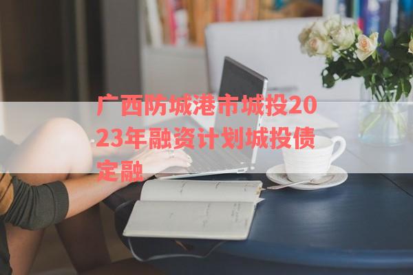 广西防城港市城投2023年融资计划城投债定融