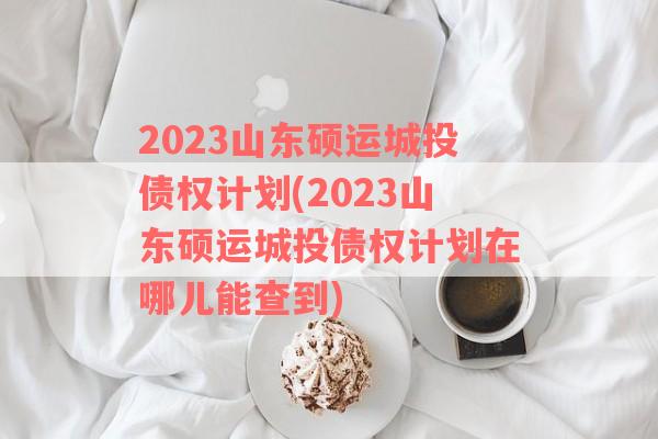 2023山东硕运城投债权计划(2023山东硕运城投债权计划在哪儿能查到)