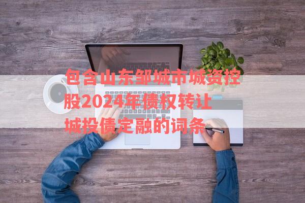 包含山东邹城市城资控股2024年债权转让城投债定融的词条