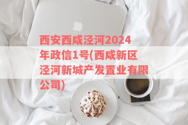 西安西咸泾河2024年政信1号(西咸新区泾河新城产发置业有限公司)