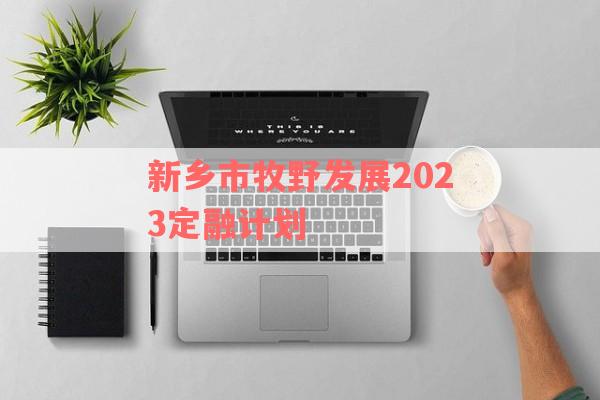 新乡市牧野发展2023定融计划