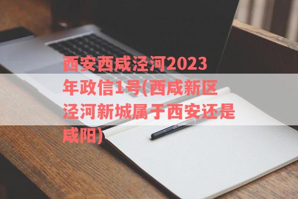 西安西咸泾河2023年政信1号(西咸新区泾河新城属于西安还是咸阳)