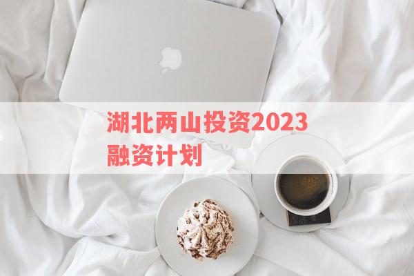 湖北两山投资2023融资计划