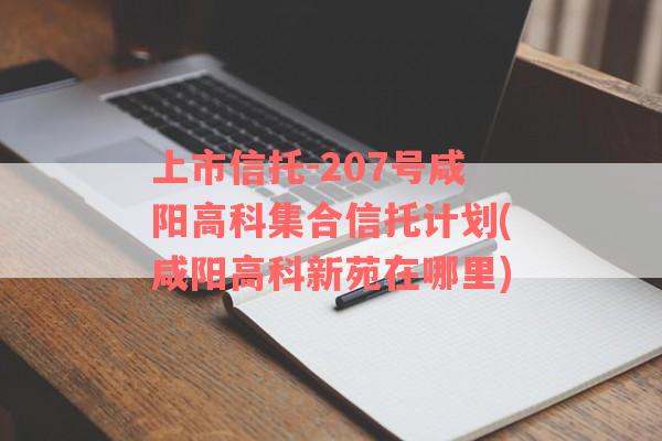 上市信托-207号咸阳高科集合信托计划(咸阳高科新苑在哪里)