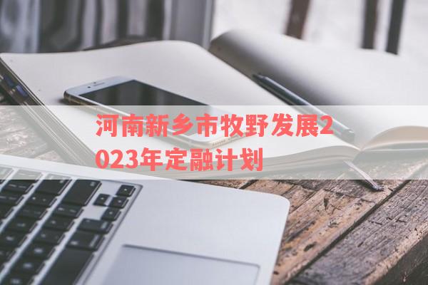 河南新乡市牧野发展2023年定融计划