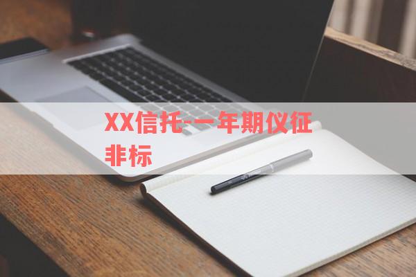 XX信托-一年期仪征非标