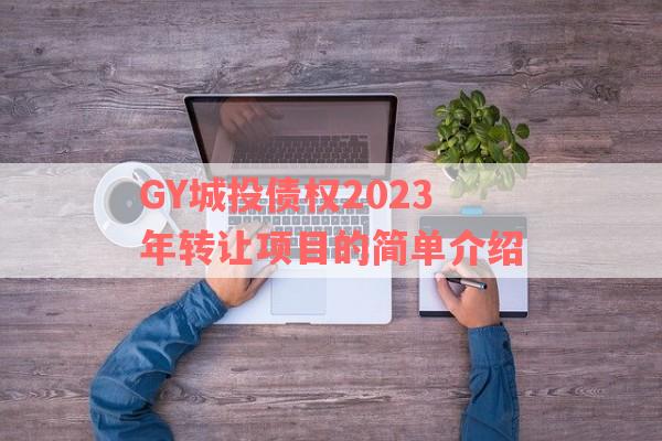 GY城投债权2023年转让项目的简单介绍