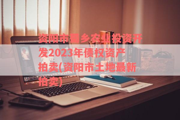 资阳市蜀乡农业投资开发2023年债权资产拍卖(资阳市土地最新拍卖)