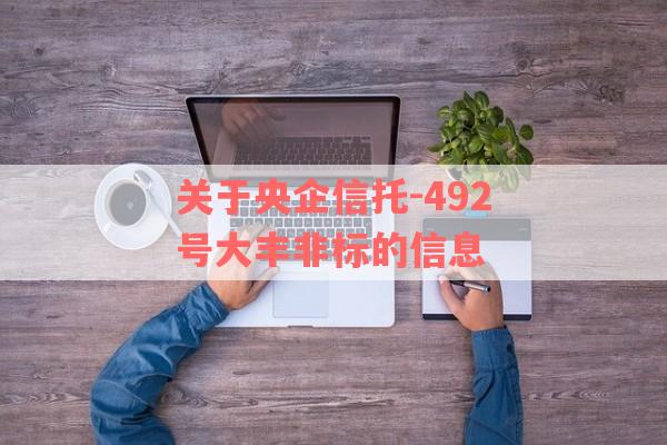 关于央企信托-492号大丰非标的信息