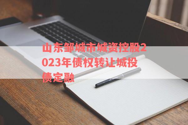 山东邹城市城资控股2023年债权转让城投债定融