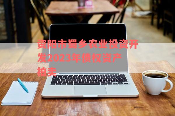 资阳市蜀乡农业投资开发2023年债权资产拍卖