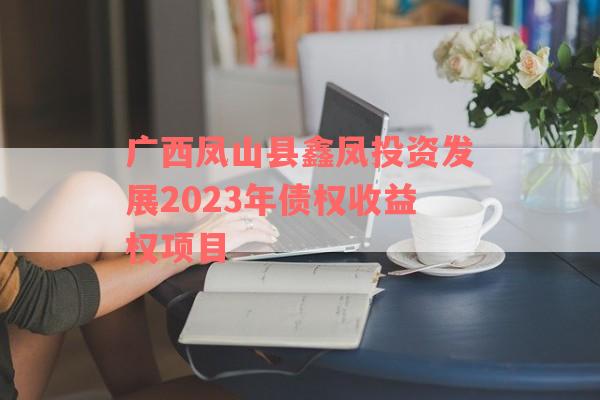 广西凤山县鑫凤投资发展2023年债权收益权项目