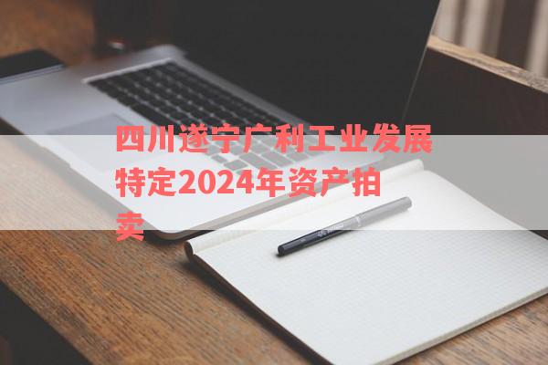 四川遂宁广利工业发展特定2024年资产拍卖