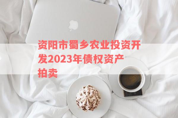 资阳市蜀乡农业投资开发2023年债权资产拍卖