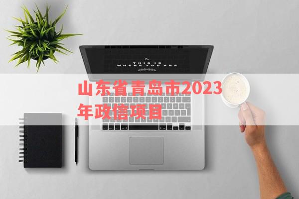 山东省青岛市2023年政信项目