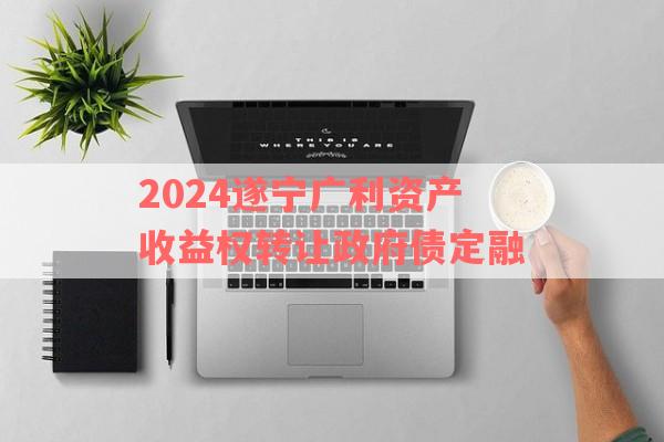 2024遂宁广利资产收益权转让政府债定融