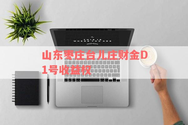 山东枣庄台儿庄财金D1号收益权