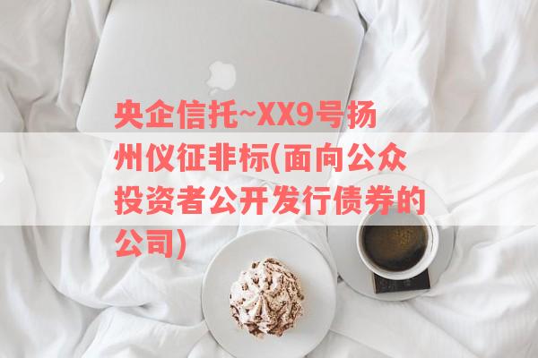 央企信托~XX9号扬州仪征非标(面向公众投资者公开发行债券的公司)