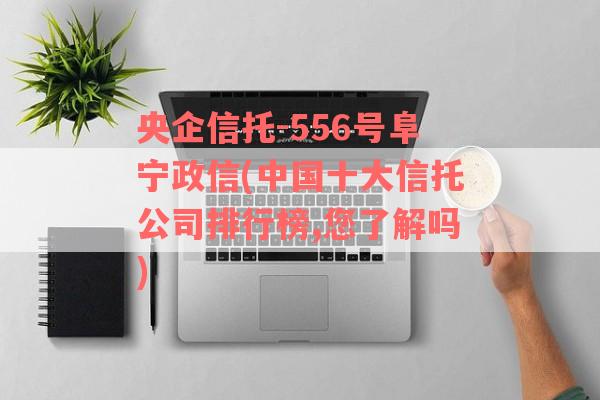 央企信托-556号阜宁政信(中国十大信托公司排行榜,您了解吗)