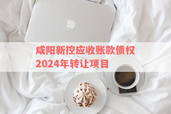 咸阳新控应收账款债权2024年转让项目