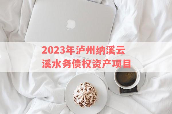 2023年泸州纳溪云溪水务债权资产项目