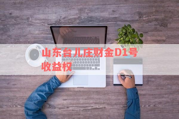 山东台儿庄财金D1号收益权