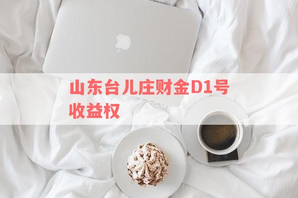 山东台儿庄财金D1号收益权