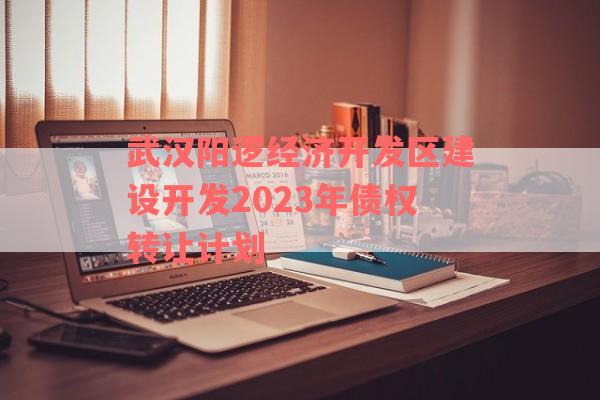 武汉阳逻经济开发区建设开发2023年债权转让计划