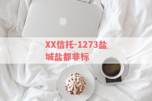 XX信托-1273盐城盐都非标