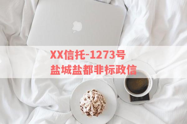 XX信托-1273号盐城盐都非标政信