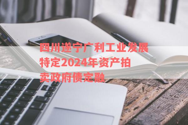 四川遂宁广利工业发展特定2024年资产拍卖政府债定融