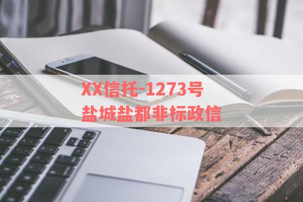 XX信托-1273号盐城盐都非标政信