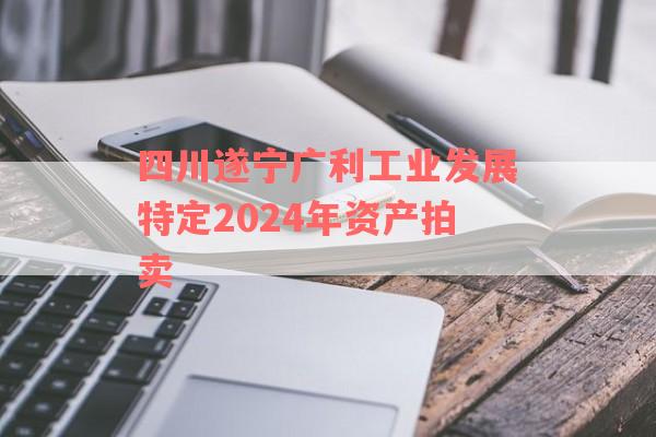 四川遂宁广利工业发展特定2024年资产拍卖