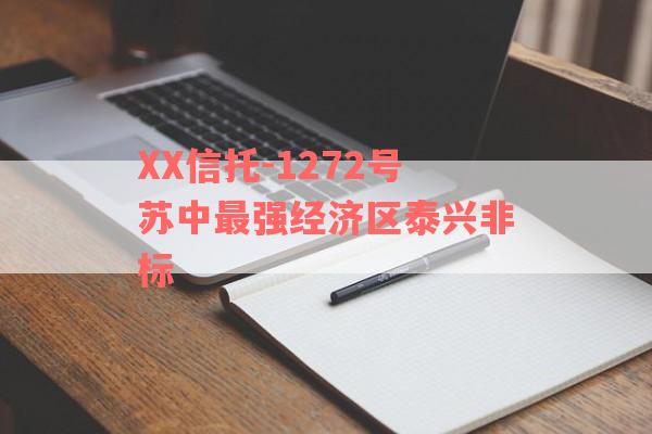 XX信托-1272号苏中最强经济区泰兴非标