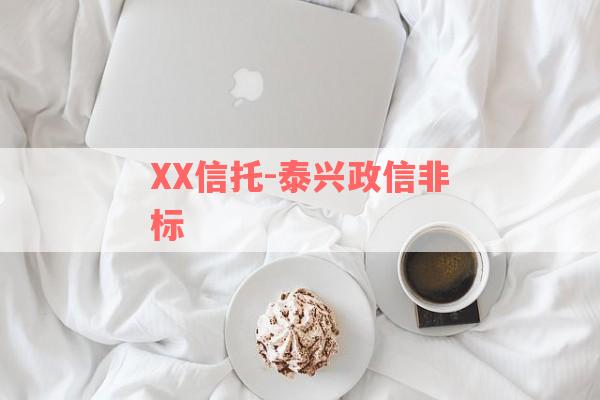 XX信托-泰兴政信非标