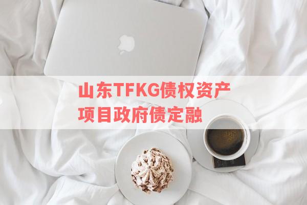 山东TFKG债权资产项目政府债定融