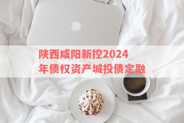 陕西咸阳新控2024年债权资产城投债定融