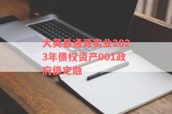 大英县通源实业2023年债权资产001政府债定融