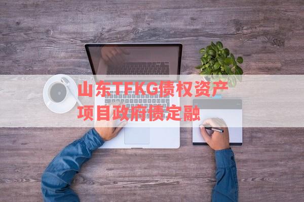 山东TFKG债权资产项目政府债定融