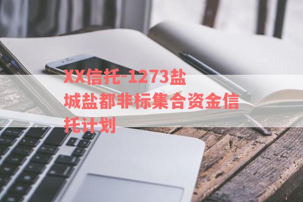 XX信托-1273盐城盐都非标集合资金信托计划