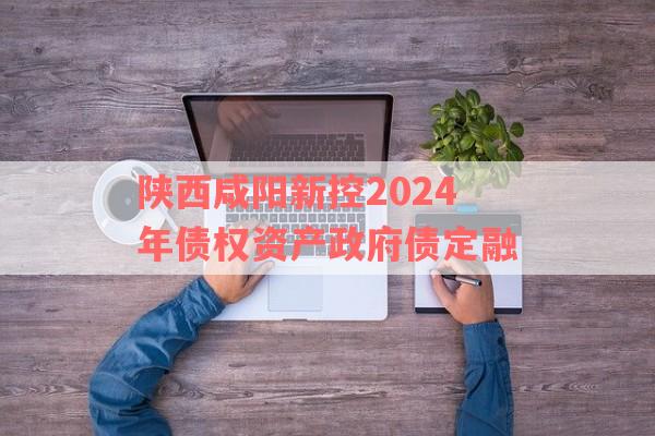 陕西咸阳新控2024年债权资产政府债定融