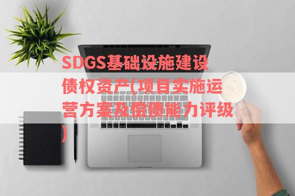 SDGS基础设施建设债权资产(项目实施运营方案及偿债能力评级)